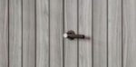 Keter Vertical Storage Shed Storm Grey - Image 5