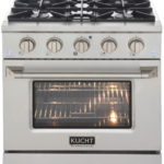 Kucht Professional 30-Inch 4.2 cu. ft. Gas Range with Convection Oven in Titanium