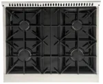 Kucht Professional 30-Inch 4.2 cu. ft. Gas Range with Convection Oven in Titanium - Image 4