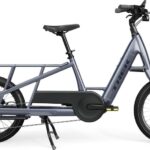 Trek Fetch+ 2 Compact Electric Cargo Bike